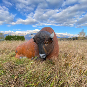 Schosi3d 2.0 Bison 3-er Set MEGA-Aktion bis 30.06.2026