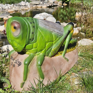 Schosi3d 2.0 weltweit einzigartiger „Grashüpfer“